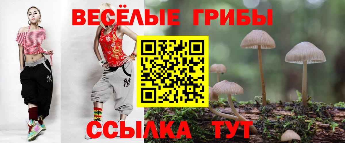 Псилоцибиновые грибы мухоморы  Вход с VPN  Шахты 