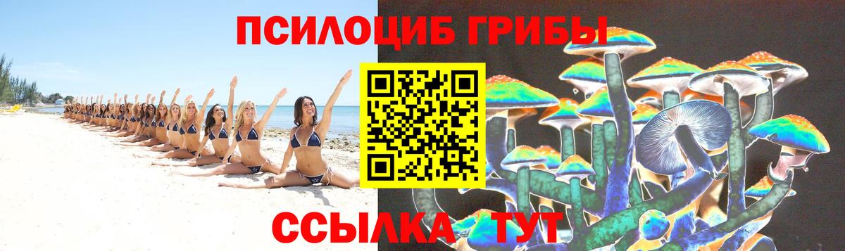 Псилоцибиновые грибы Cubensis Шахты